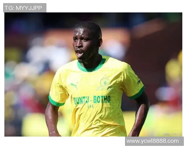 努涅斯崛起之路：从默默无闻到足坛新星的华丽转身